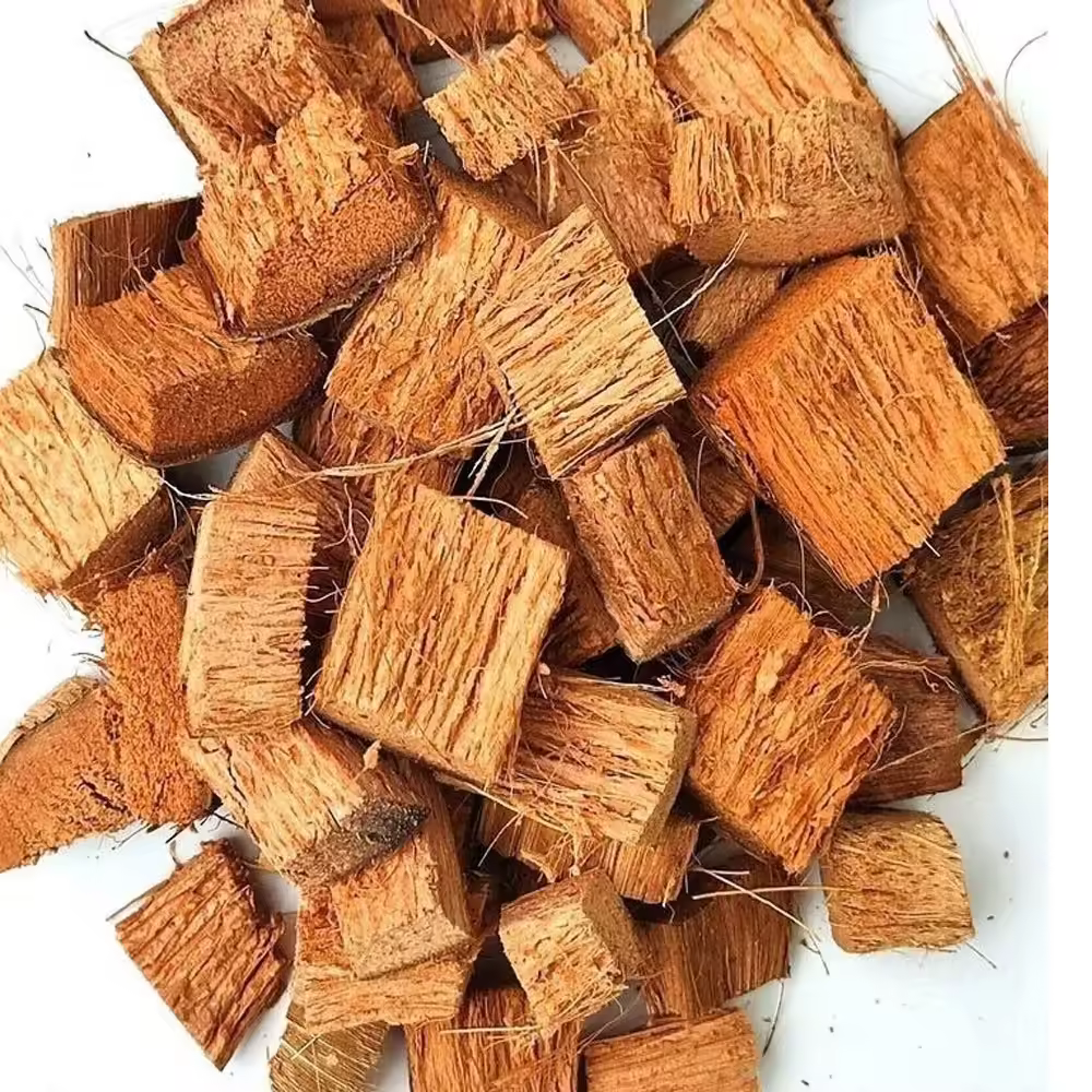 Coco Chips 3