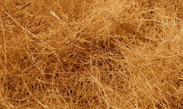 Coco Fibre 2