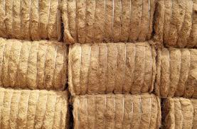 Coco Fibre 3