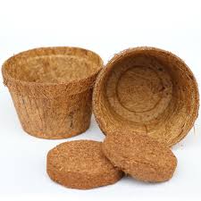Coco Fibre 4