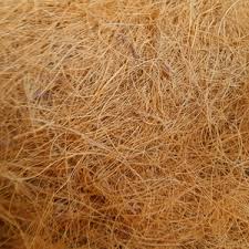 Coco Fibre 6