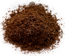 Coco Peat 2