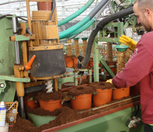 Coco Peat 5