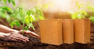 Coco peat