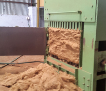 Coco Fibre 3