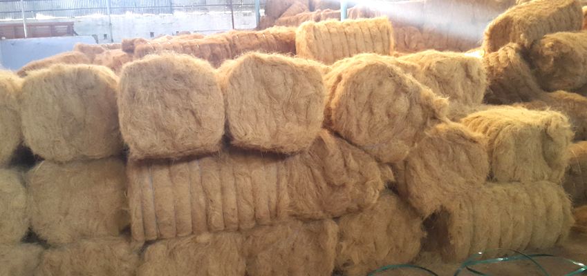 Coco Fibre