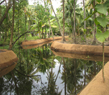 Coir Geo Textiles 2