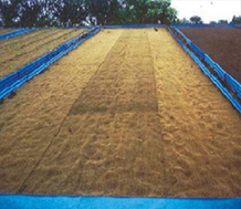 Coir Geo Textiles 5